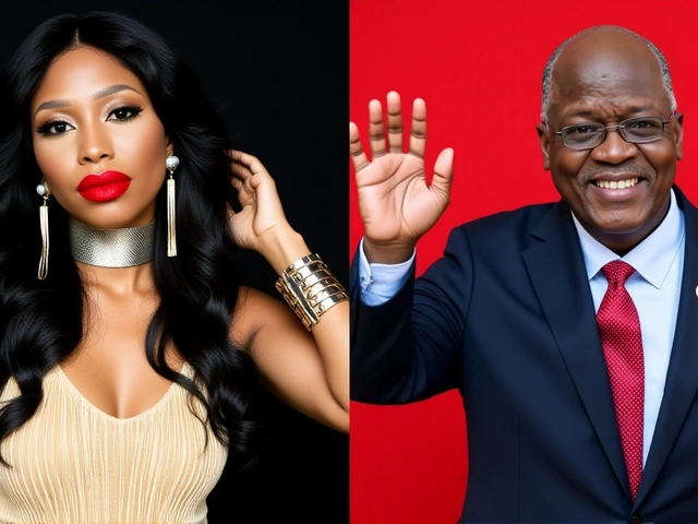 US-Based Tanzanian Activist Accuses Government of Pressuring Meta to Silence Election Criticism